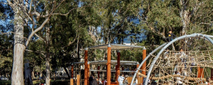 Paperbark playground