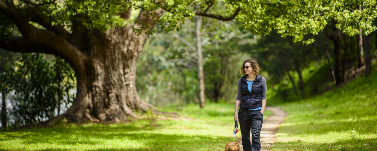 Stroll amongst the trees